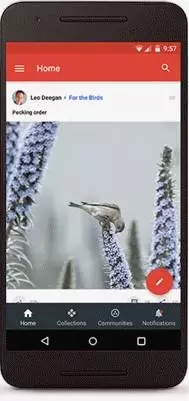 點擊查看原圖 640.webp.jpg